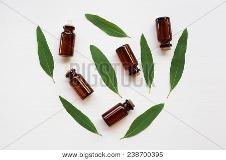 Eucalyptus Essential Oil Bottle  On White Background.