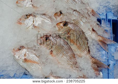 red seabreams fish on ice tray