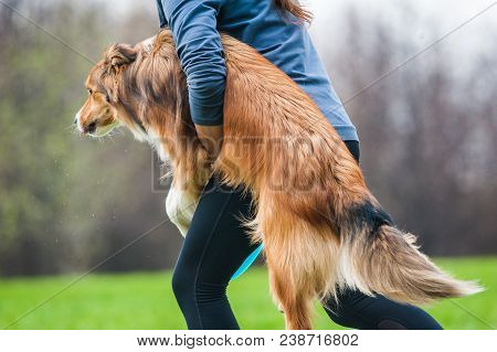 Concept: Owner Carryng Her Dog On Frisbie Show After Performance