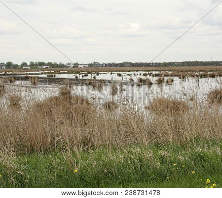 Nature Reserve 