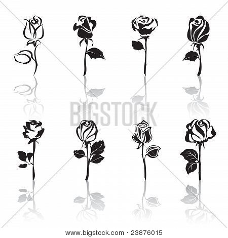 Icon set of Roses with reflections