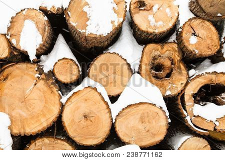Stack Of Sawed Woods In Urban Timiryazevskiy Park In Moscow City In Winter