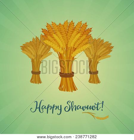Jewish Holiday Greeting Card. Sheaves Of Wheat With Greeting Inscription Happy Shavuot. Cartoon Styl