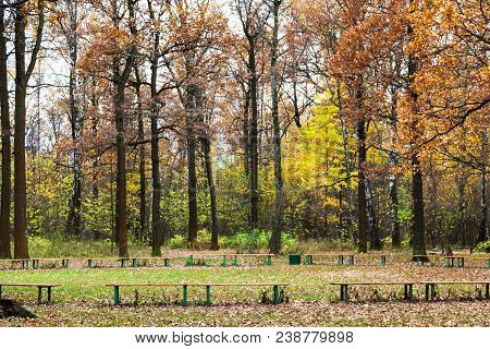 Benches On Meadow In Urban Timiryazevskiy Park In Moscow City In Autumn