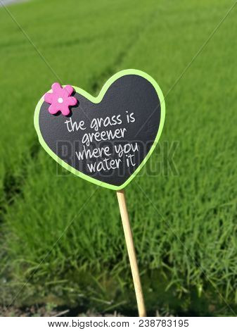 The grass is greener where you water it