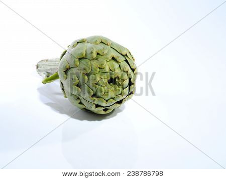 Alcachofa - Artichoke 

The Artichoke (cynara Scolymus) Is A Vegetable. The Edible Portion Is The Fl
