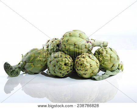 Alcachofa - Artichoke 

The Artichoke (cynara Scolymus) Is A Vegetable. The Edible Portion Is The Fl