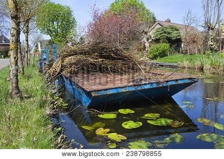 Willow Twigs On A Pontoon In Reeuwijk In The Netherlands