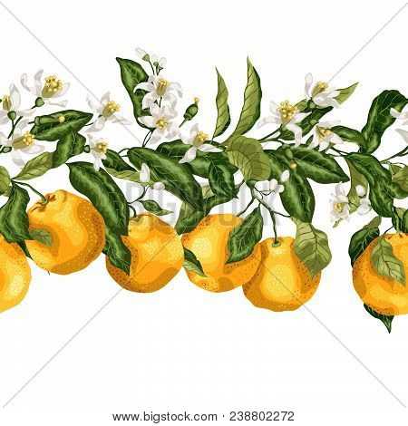 Hotizontal Seamless Pattern Line Of Citrus Fruit Tree With Bloomimg Flowers And Fruits In Vector Gra