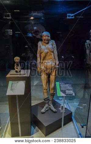 Guanajuato, Mexico - May 06, 2013: El Museo De Las Momias, Mummies Of Guanajuato, Buried In 1833 Due