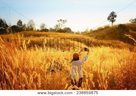 Outdoors Camping Grass Highlands Mountain In The Sunset.