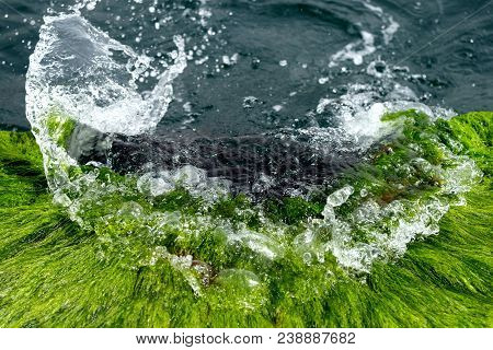Water Wave Hit The Waterfront On The Green Algae