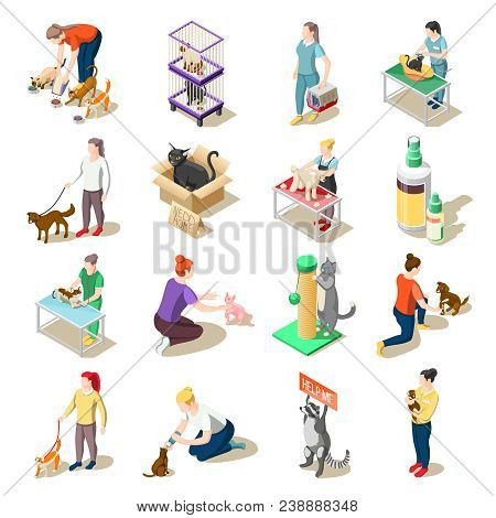 Set Of Isometric Icons Animal Care Volunteers, Feeding, Walking And Grooming, Veterinary Inspection 