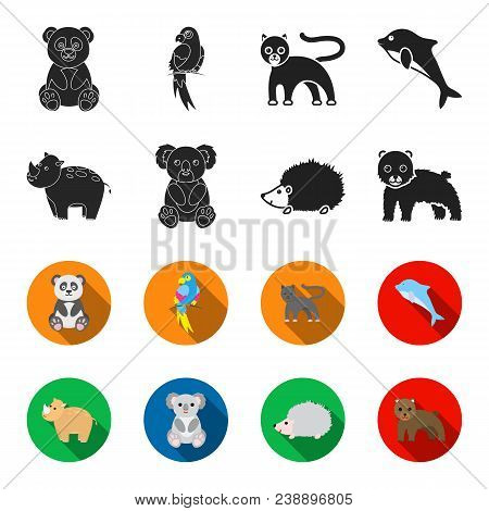 Rhino, Koala, Panther, Hedgehog.animal Set Collection Icons In Black, Flet Style Vector Symbol Stock