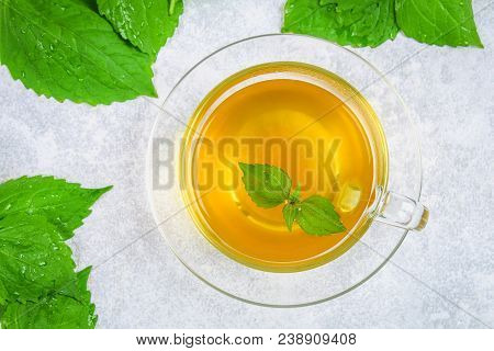 Leaves Of Fresh Green Nettle And A Clear Glass Cup Of Herbal Nettle Tea On A Gray Concrete Table. To