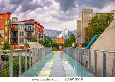Chattanooga, Tennessee, USA downtown cityscape from a pedestrian bridge at dusk.