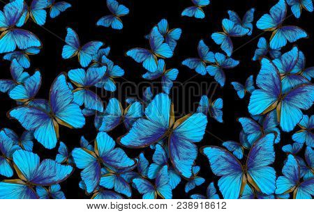 Wings Of A Butterfly Morpho. Flight Of Bright Blue Butterflies Abstract Background.