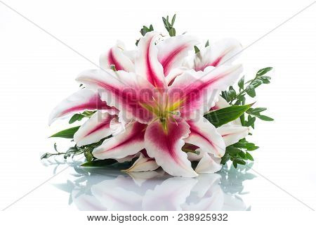 Bouquet Of Beautiful Colored Lilies On A White Background