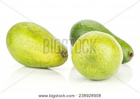 Three Green Smooth Avocado Isolated On White Background Bacon Variety