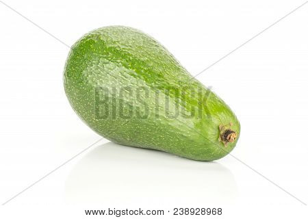 One Green Smooth Avocado Isolated On White Background Ripe Bacon Variety