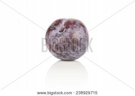 One Red Blue Plum Isolated On White Background Round Whole Fresh Juicy Fruit