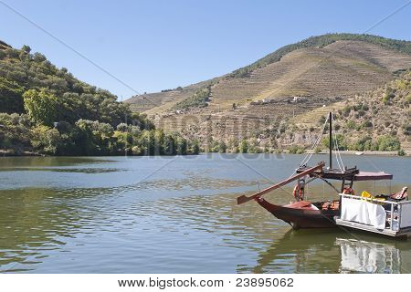 Douro 지역