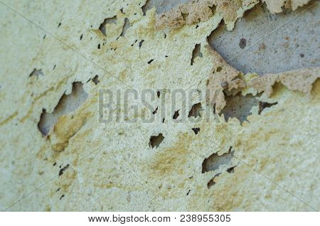 Wall With Peeling Paint, Paint Problem. Inadequate Paint System, Water Infiltration.