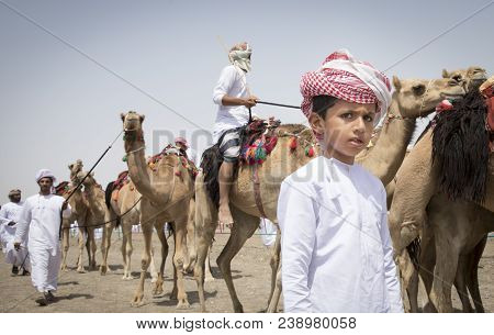 Ibri, Oman, 28th April 2018: Young Omani Man With His Camel Before A Race