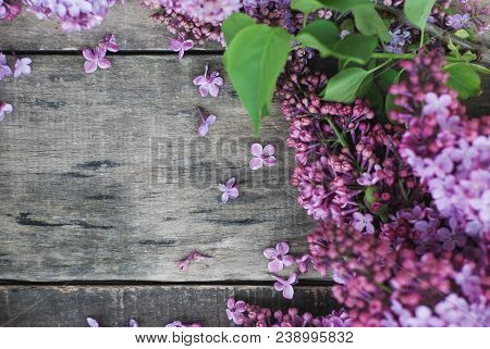 Spring Flowers. Lilac Flowers Frame On White Wooden Background. Top View, Flat Lay