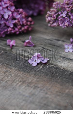 Spring Flowers. Purple Lilac Flowers Frame On Rustic Textured Gray Wooden Background.
