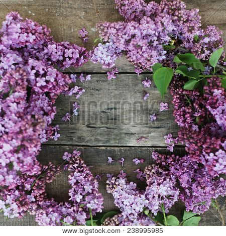 Spring Flower Frame With Lilac Bunch Woth Copy Space. Rustic Textured Board.