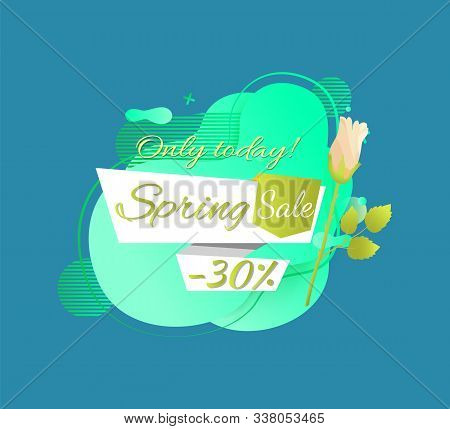 Spring Sale Promo Label 30 Percent Off, Only Today Best Price And White Rose Flower Isolated. Vector