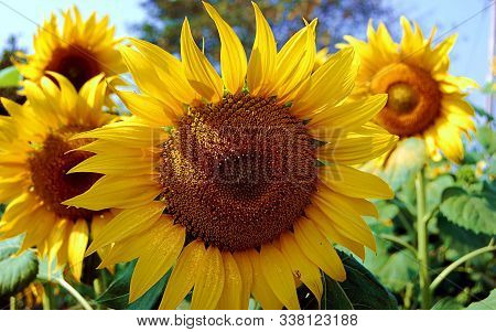 Desktop Wallpaper Images Illustrations Vectors Free Bigstock