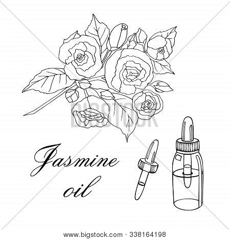 Vector Sketch Illustration With Essential Oil Of Jasmine On A White Background