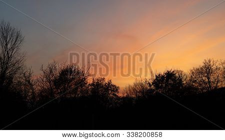 Autumn Sky And Trees At Sunset.autumn Sky And Trees At Sunset
