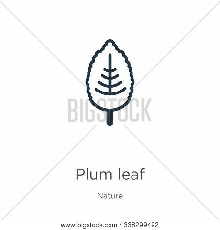 Plum Leaf Icon. Thin Linear Plum Leaf Outline Icon Isolated On White Background From Nature Collecti