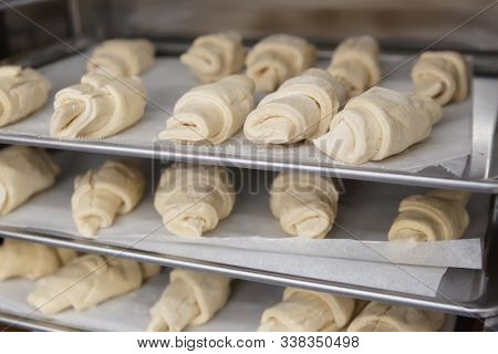 Frozen croissants and dough buns on baking sheets in proofing chamber, commercial bakery