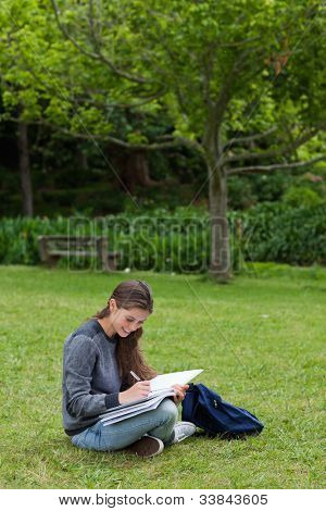 Mosolygó fiatal felnőtt komolyan írás rajta notebook ülve egy parkban