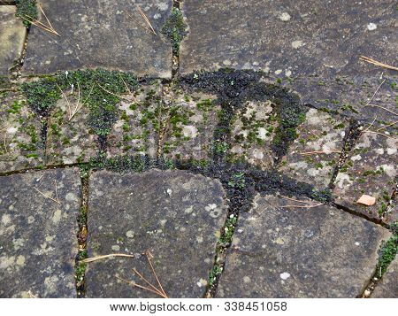 Patio Slabs Showing Moss And Mould Growth