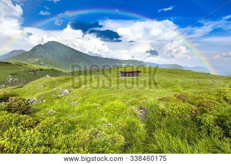 Alpine Meadow In Beautiful Rodna Mountains In Romania