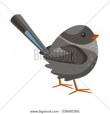 Vector Design Of Bird And Sparrow Symbol. Collection Of Bird And Brown Vector Icon For Stock.