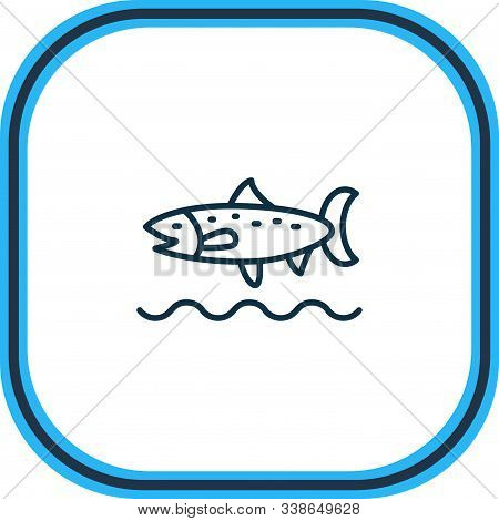 Illustration Of Trout Fish Icon Line. Beautiful Marine Element Also Can Be Used As Codfish Icon Elem