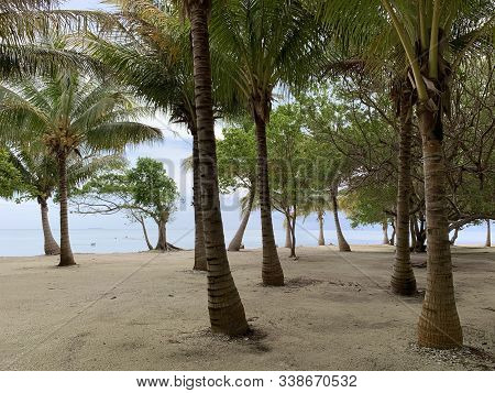 Beautiful Beach And Ocean In Placencia, Belize