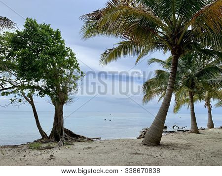 Beautiful Beach And Ocean In Placencia, Belize
