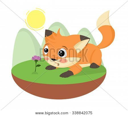 Cartoon Surprised Cute Little Fox Found A Flower. Hand Drawn Foxy. Cartoon Character Fluffy Pet Anim