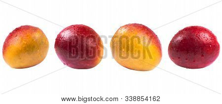 Mango Fruit With Water Drops Isolated On White Background.  Mango Isolated On A White Background Wit