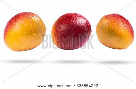 Mango Fruit With Water Drops Isolated On White Background.  Mango Isolated On A White Background Wit