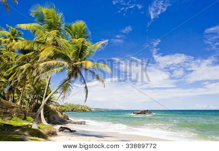 Cumana Bay, Trinidad