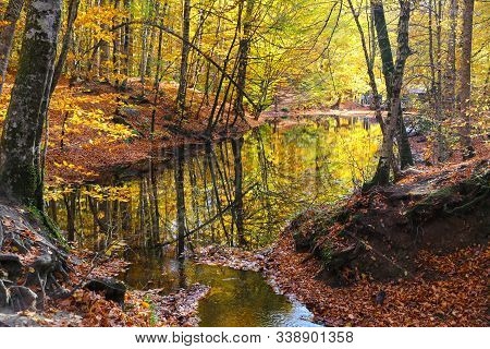 Sazli Lake In Yedigoller National Park, Bolu, Turkey