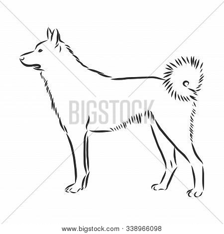 Single Continuous Line Drawing Of Simple Cute Siberian Husky Puppy Dog Icon. Pet Animal Logo Emblem 